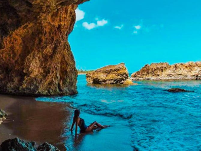 Playa Survival